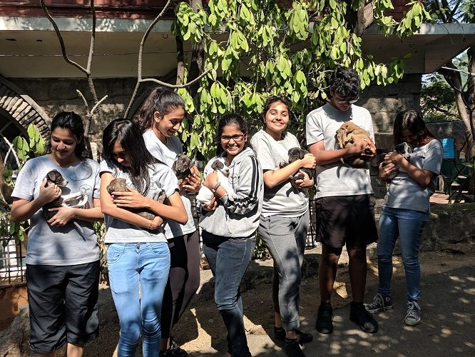 Service at the Blue Cross - a personal account | Aga Khan Academies Service at the Blue Cross - a personal account | Aga Khan Academies